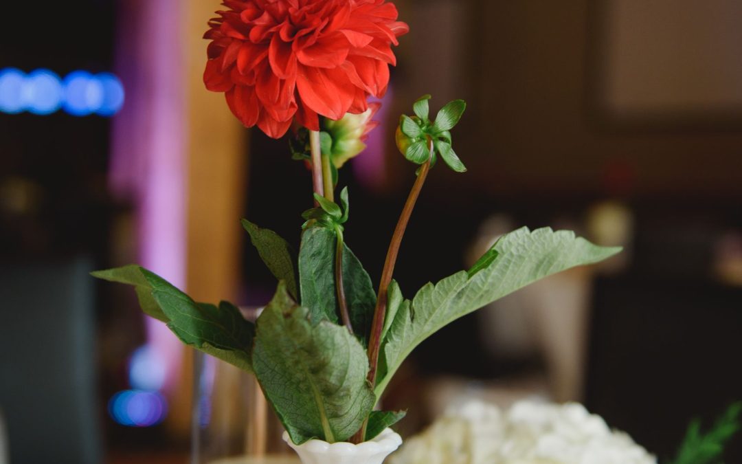 icon-events-weddings-reception-decor-sioux-falls-001-02