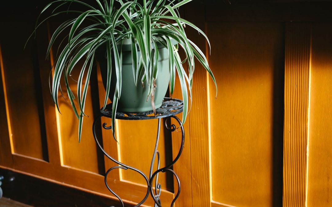 icon-events-weddings-wedding-details-lara-and-evan-sioux-falls-018