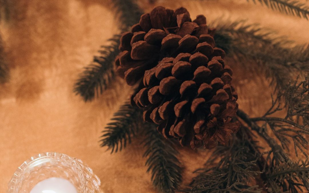 icon-events-weddings-wedding-moment-payton-and-trevor-sioux-falls-423